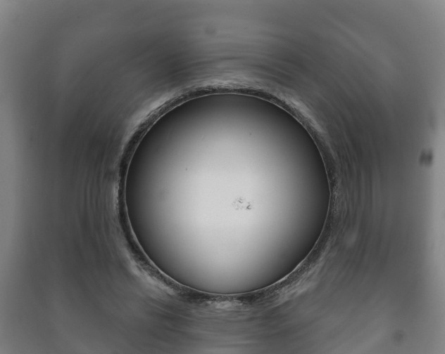 X0000091460446200708161110