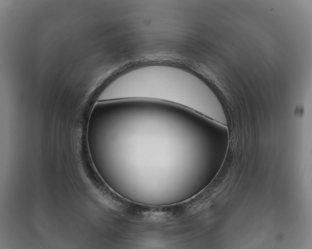 X0000091460448200708161110
