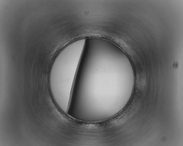 X0000091460449200708161110