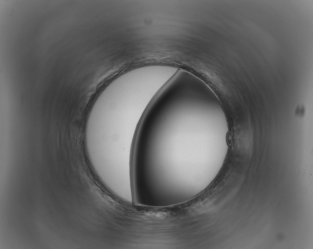 X0000091460450200708161110