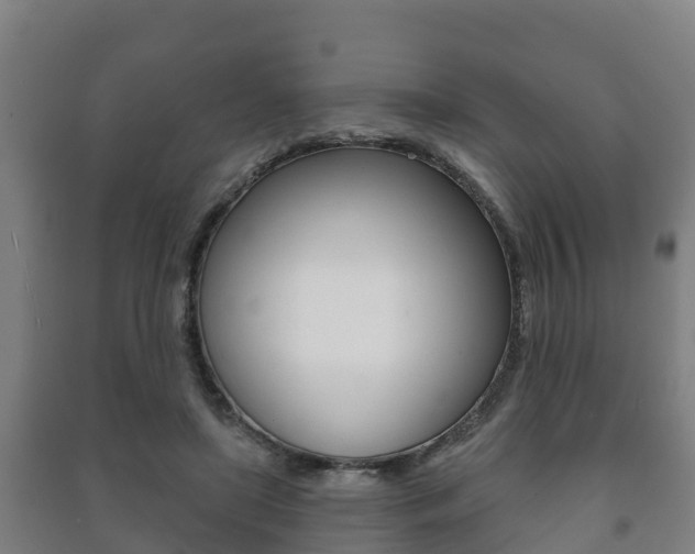 X0000091460451200708161110