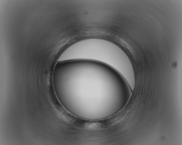 X0000091460452200708161110