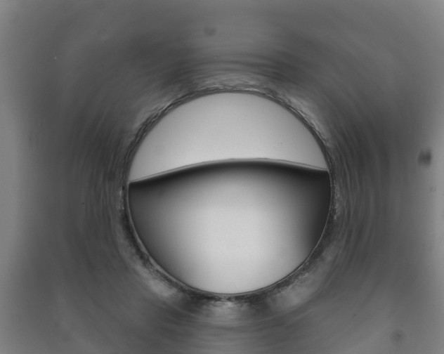 X0000091460453200708161110