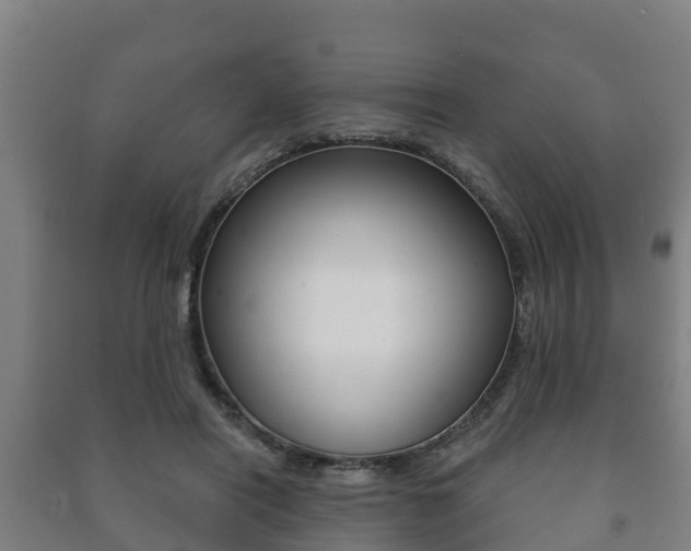 X0000091460454200708161110