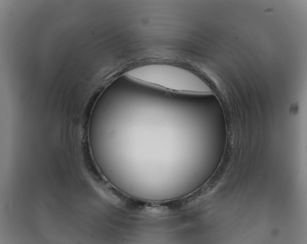 X0000091460455200708161110