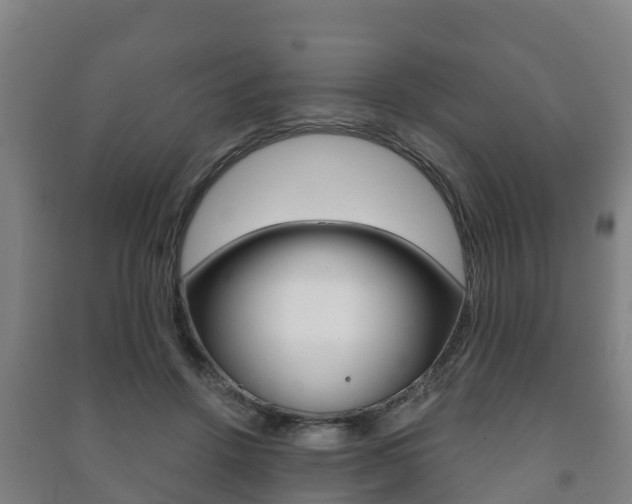 X0000091460456200708161110