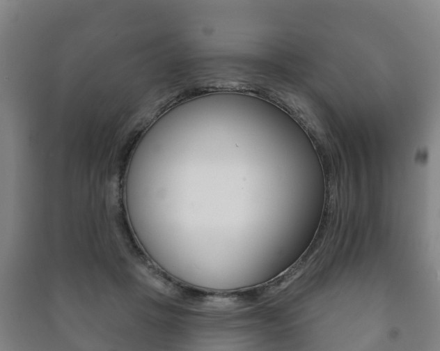 X0000091460457200708161111