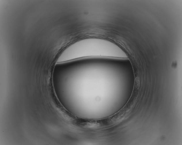 X0000091460458200708161111