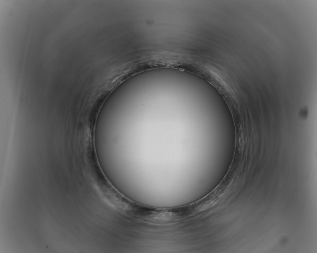 X0000091460459200708161111