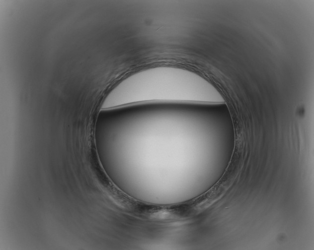 X0000091460460200708161111