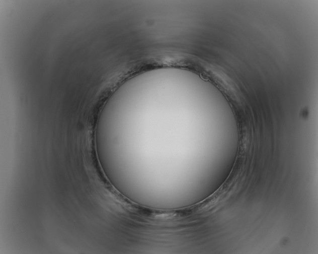X0000091460461200708161111