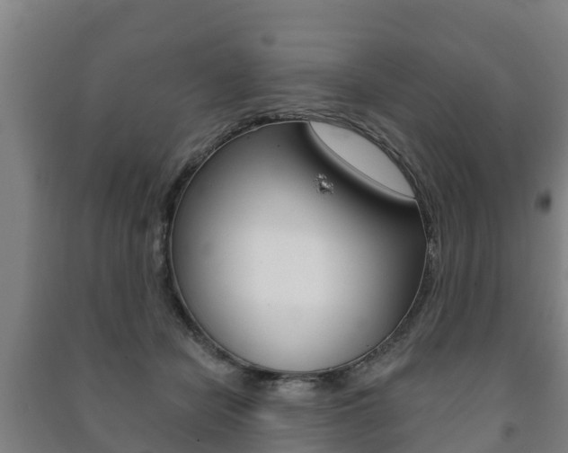 X0000091460462200708161111