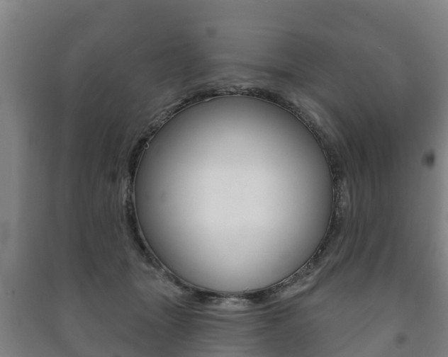X0000091460463200708161111