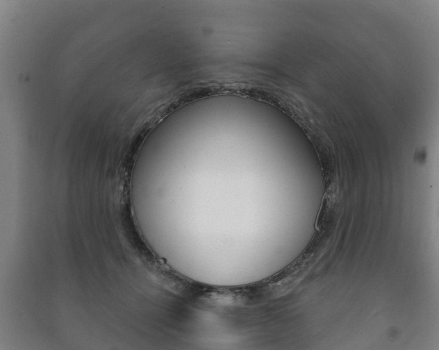 X0000091460464200708161111
