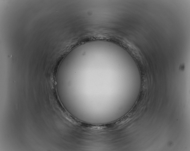X0000091460465200708161111