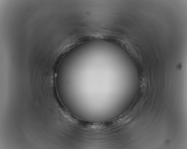 X0000091460466200708161111