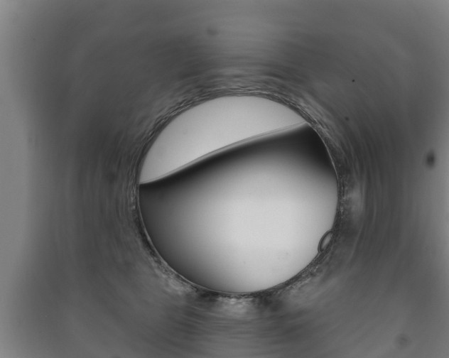 X0000091460469200708161111