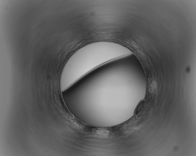 X0000091460471200708161111