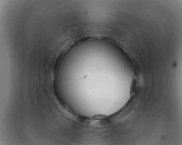 X0000091460472200708161111