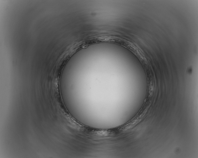 X0000091460473200708161111