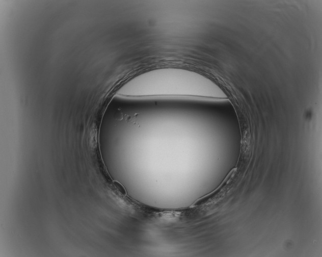 X0000091460474200708161111