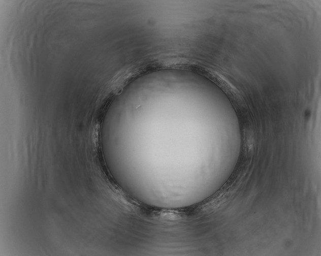 X0000091460475200708161111