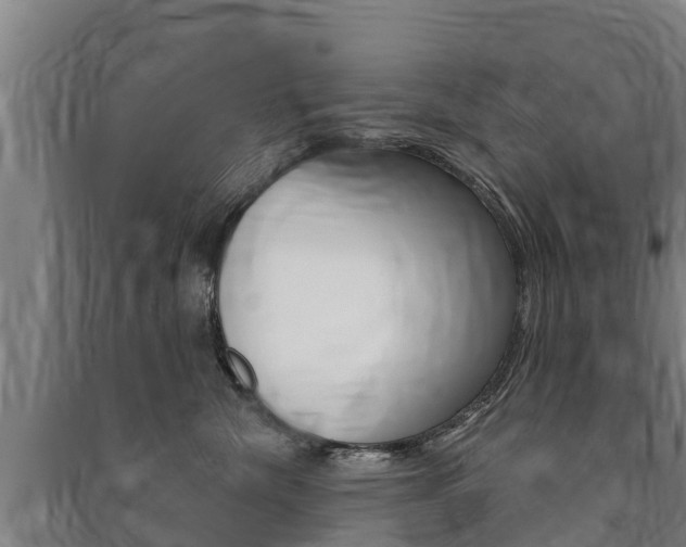X0000091460476200708161111
