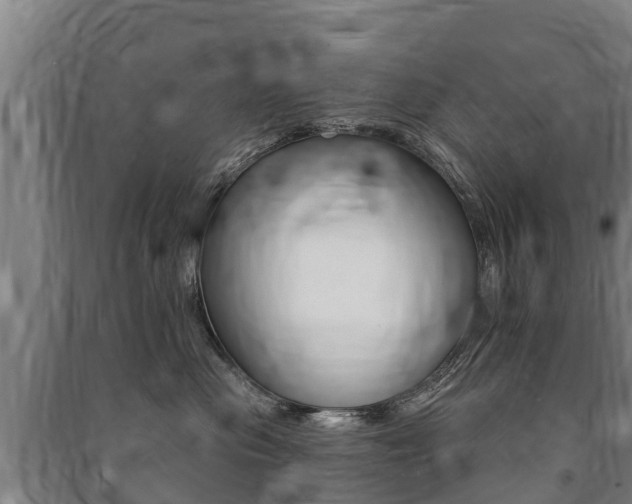 X0000091460477200708161111