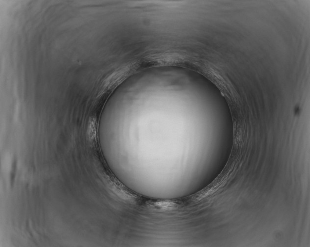 X0000091460478200708161111