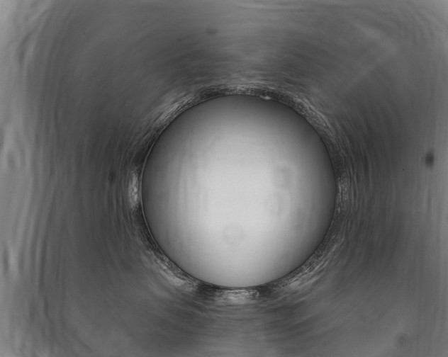 X0000091460479200708161111