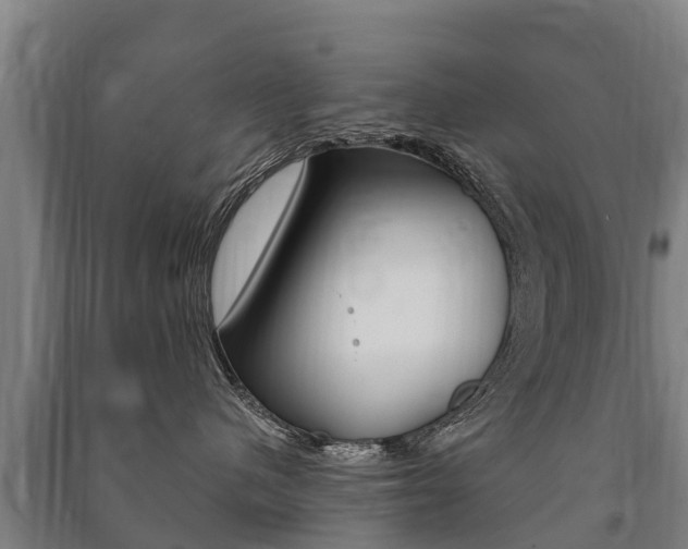 X0000091460480200708161111