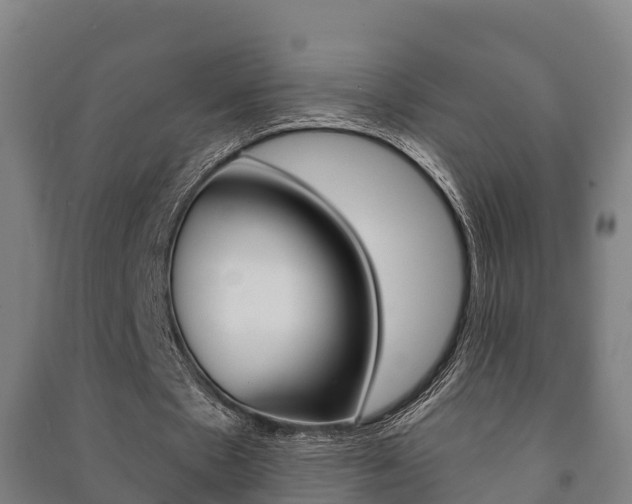 X0000091460481200708161110