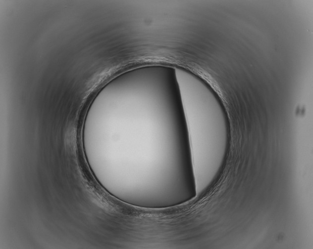 X0000091460482200708161110