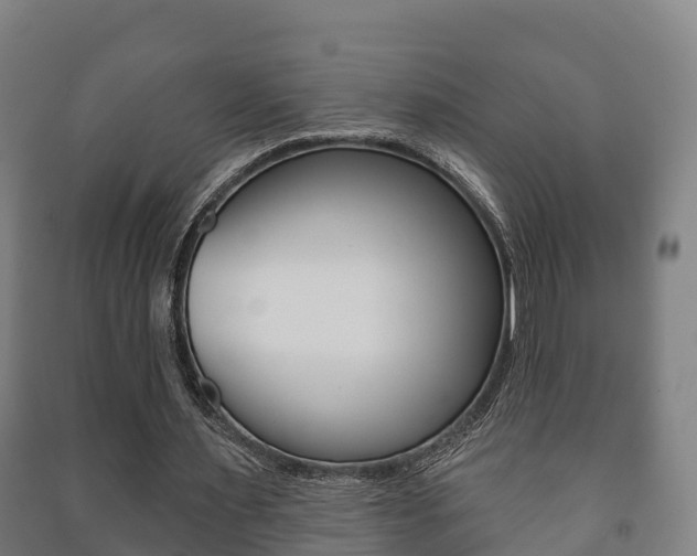 X0000091460483200708161110