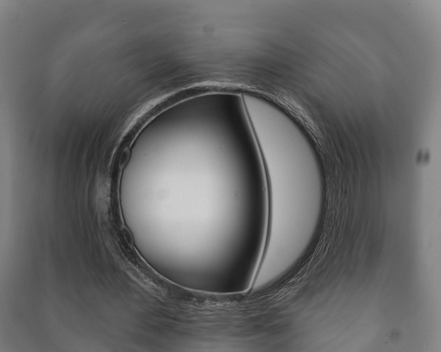 X0000091460484200708161110