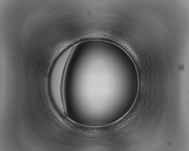 X0000091460485200708161110