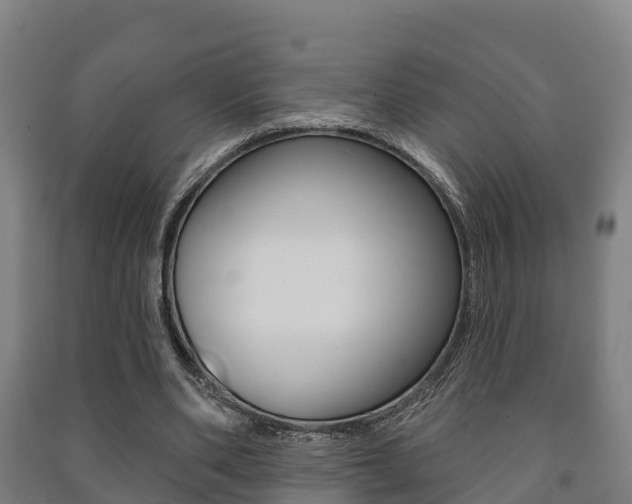 X0000091460486200708161110