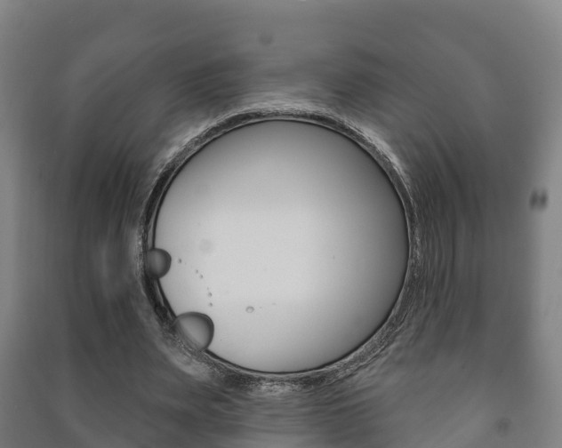 X0000091460487200708161110