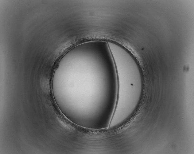 X0000091460489200708161110