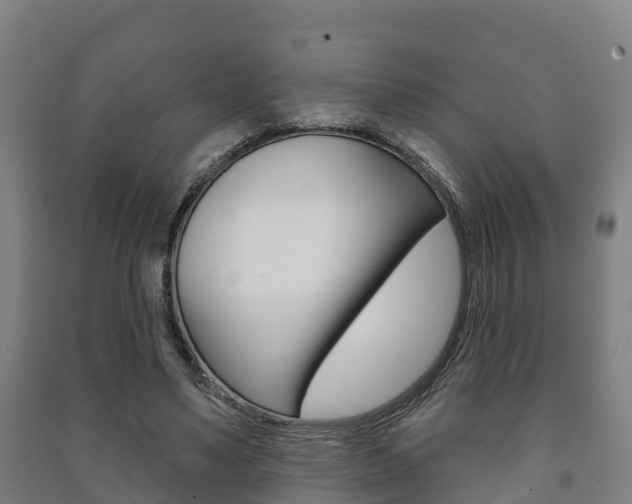 X0000091460491200708161110