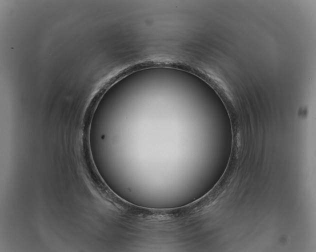 X0000091460492200708161110