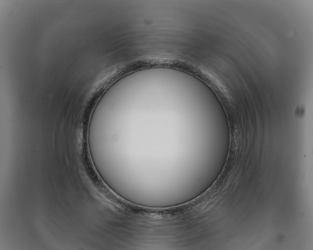 X0000091460494200708161110