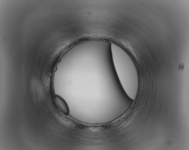 X0000091460495200708161110