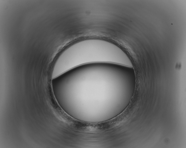 X0000091460496200708161110