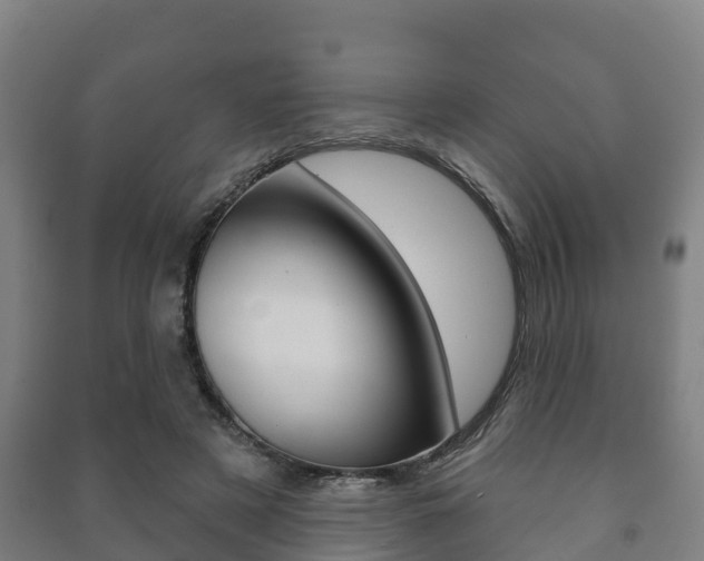 X0000091460497200708161110