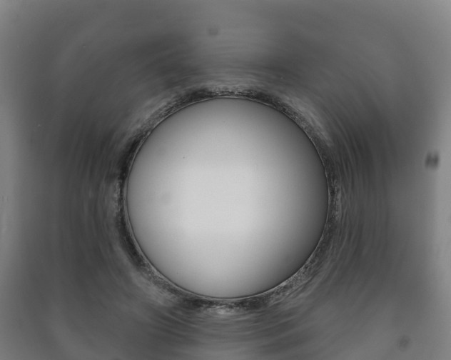 X0000091460498200708161110