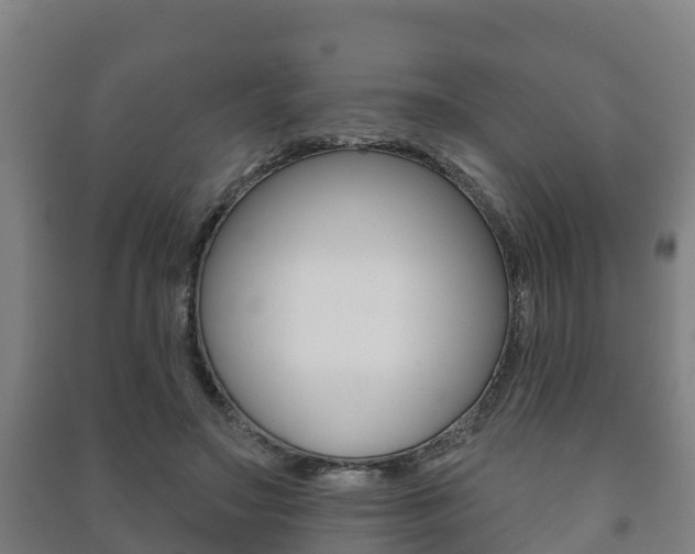 X0000091460499200708161110