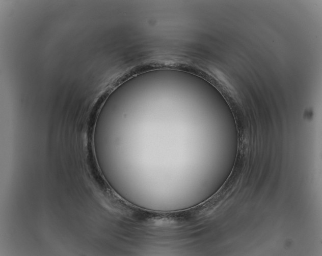 X0000091460500200708161110