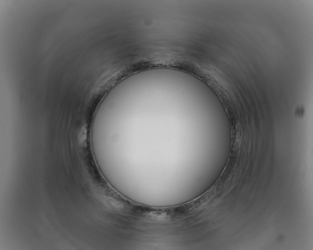 X0000091460502200708161110