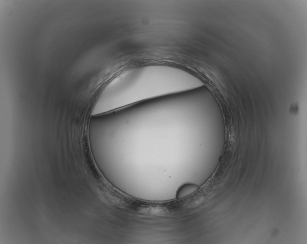 X0000091460503200708161110